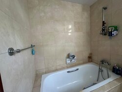 Seletaris (D27), Condominium #457193001